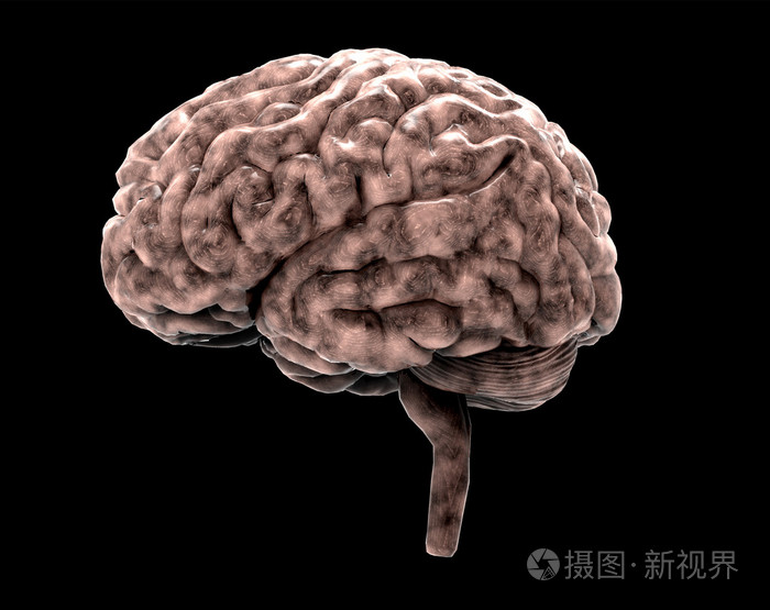 人类大脑的黑色与剪切路径