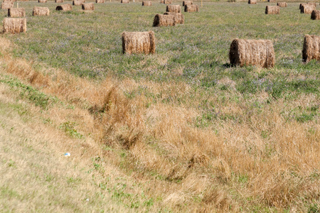 干草堆在田野里, 夏天的日子