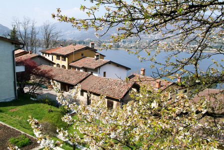 房子在 Pianroncate 村上湖 Lugano