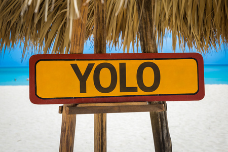 yolo 文本标志照片