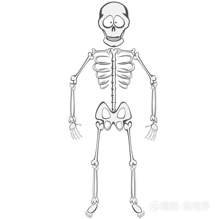 骨架的好友插画-正版商用图片1k4qax-摄图新视界