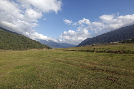 一个视图 Phobjikha 谷，不丹，大约在 2015 年 5 月