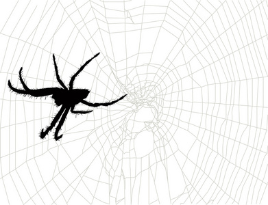 大蜘蛛在黑色的网络