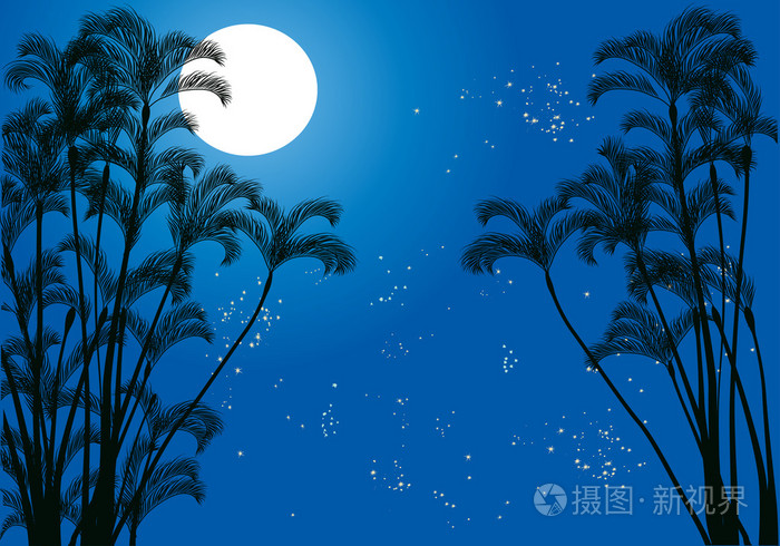 棕榈树在月光下
