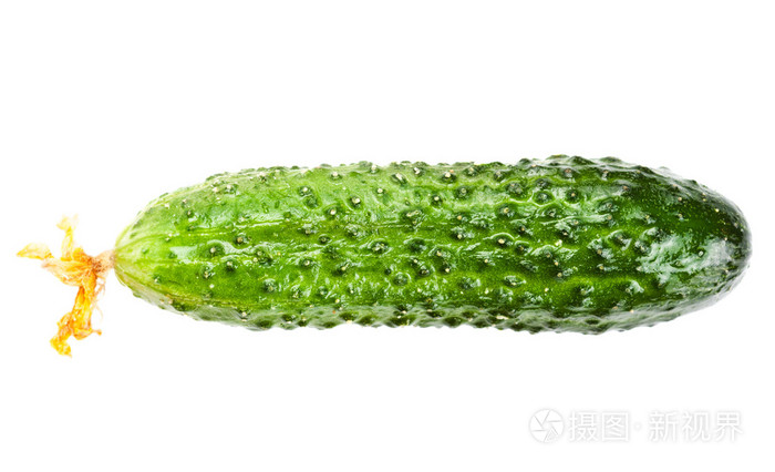 绿色有机黄瓜