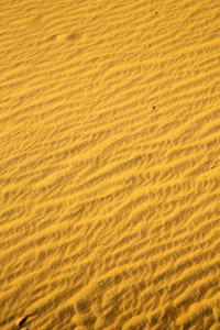 萨哈拉的棕色沙丘