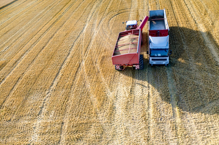 卡车装满小麦种子