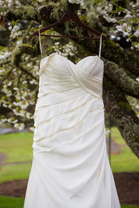 新娘婚纱礼服挂在树上