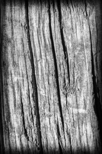 老风化的木材漂白和染色灰色小插图 Grunge 纹理