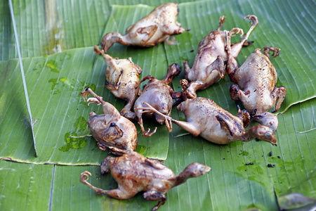 烤鹦鹉肉在一个开放的火烤鹌鹑在格栅照片