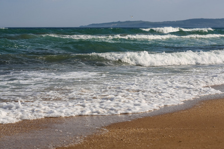 黑海海岸