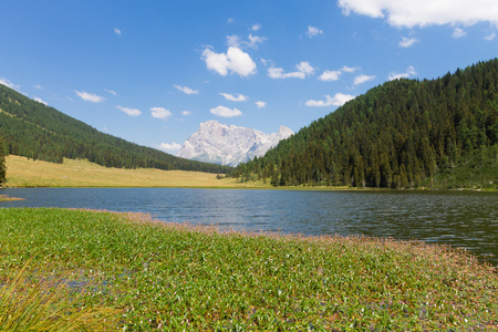 美丽的高山全景