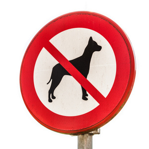 禁止标志行走的狗