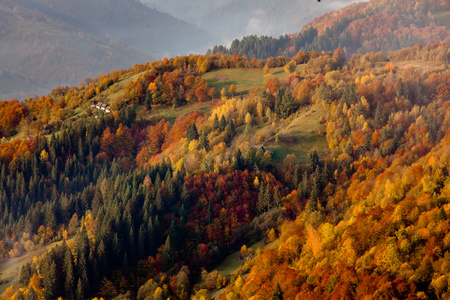 美丽的喀尔巴阡山脉，在秋天