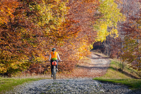 秋天的森林山地自行车