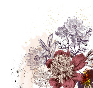 牡丹花和宇宙花的花插图