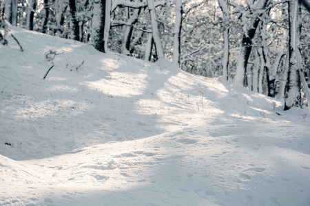 白雪皑皑的冬天山