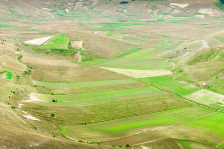 片区 di Castelluccio di 阿西西，在自然的美妙高原