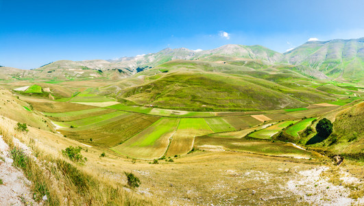 片区 di Castelluccio di 阿西西，在自然的美妙高原