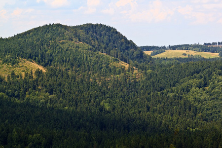 在 Polsih 伢 Suche干山景观