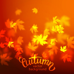 秋天的树叶背景设计