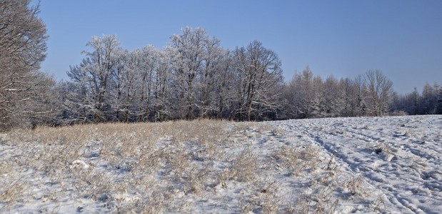 冬季仙境全景