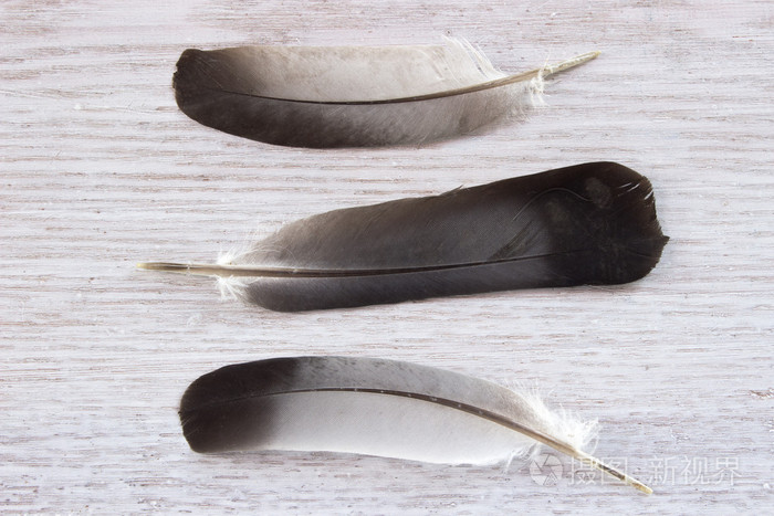 白色的木制背景上的三根羽毛