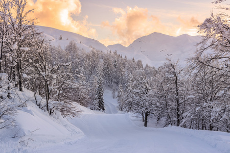 傅高义滑雪中心附近的冬季景观