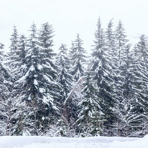 傅高义滑雪中心附近的冬季景观