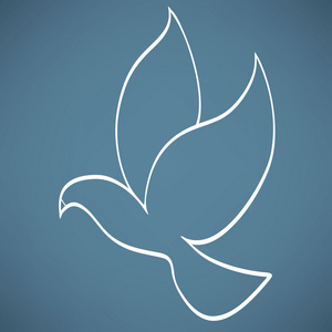 和平鸽和平图图片