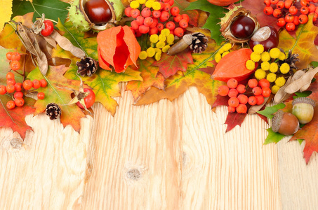 秋季背景树叶 栗子和山灰以及放置文本的位置。秋组成对木质的背景