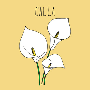 汽车手绘图图片大全