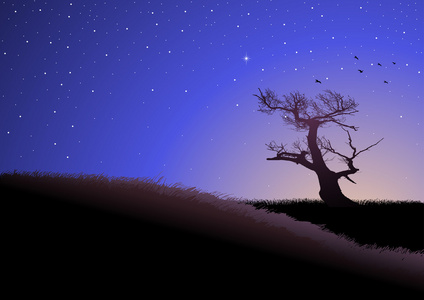 暮光之城暮光之城在草地上插画