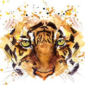 老虎打印t 恤图形的老虎,老虎眼睛图与飞溅水彩画纹理背景.