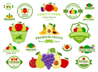 水果的标志 标签 水果图标和设计元素