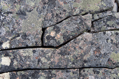 裂隙的岩体表面布满地衣照片
