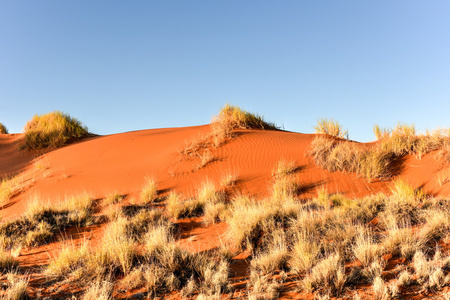 沙漠景观雉前来，纳米比亚