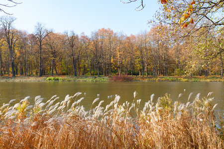 水上木秋公園