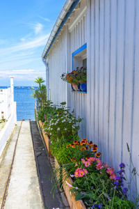 一旁的小屋车道小国家