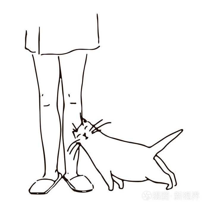 猫揉腿上插画-正版商用图片1k6n70-摄图新视界