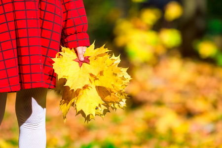 可爱的小女孩，用黄色枫叶叶在户外在美丽的秋天公园