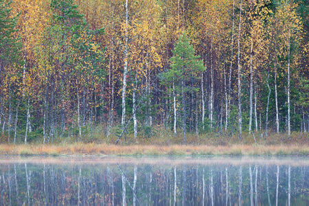 秋  景