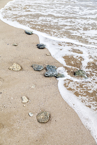 一些在海边的石头