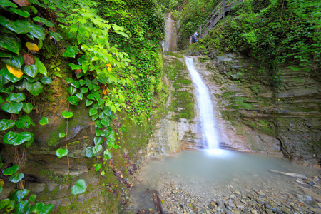 在山峦瀑布森林河流水自然绿色图片