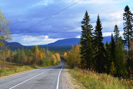autumn.road 通过森林