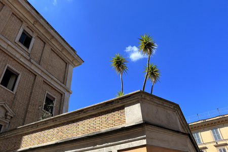 古建筑屋顶上的三棵棕榈树图片