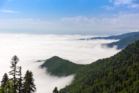 绿山在云彩山雾天空