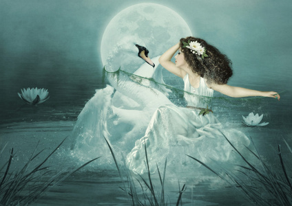 女孩天鹅女孩和天鹅河里照片