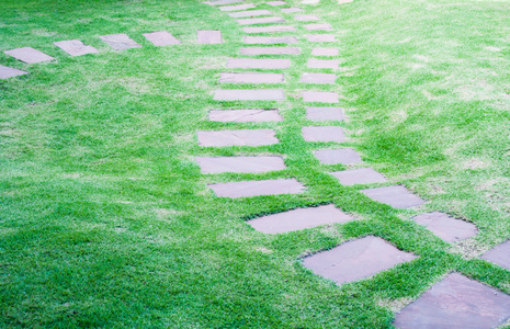 在花园里绿草如茵的石块走在小路上