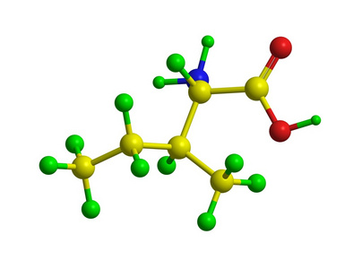 分子结构的异亮氨酸